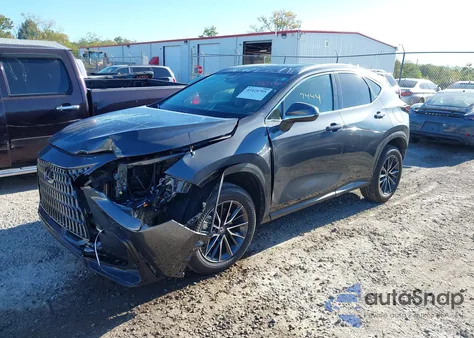 2024 Lexus Nx 350 Premium из США, поврежденный, VIN 2T2GGCEZXRC051104